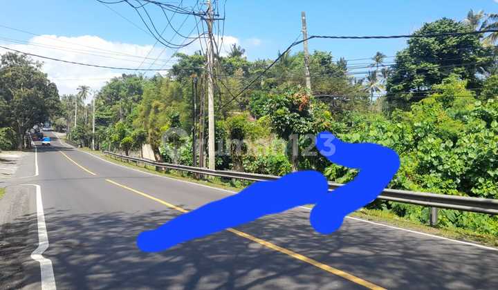 Land for Sale in Antap Location Land for Sale in Antap Location