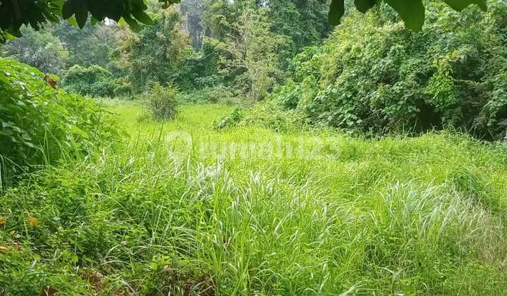 Tanah Jual Lokasi Sukawati