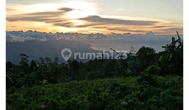 Tanah Jual Lokasi Munduk