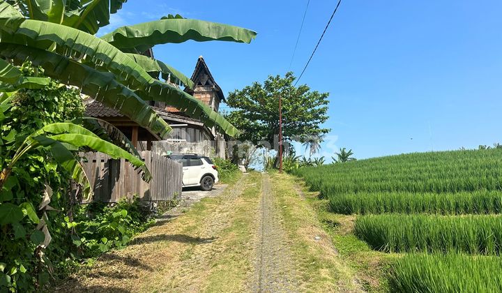 Tanah Jual Lokasi Nyanyi Tanah Jual Lokasi Nyanyi