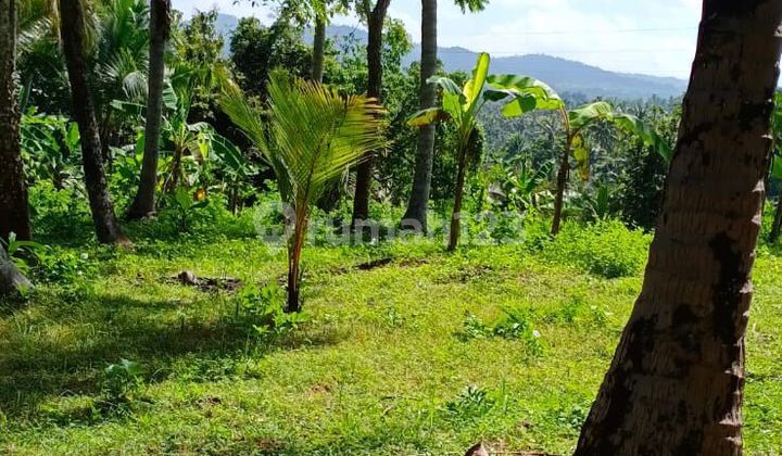 Land for Sale Location Antosari