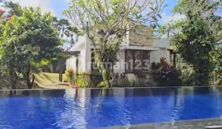 Land for Sale in Bedulu Location