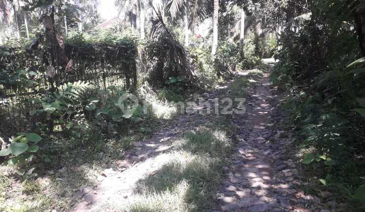 Tanah Jual Lokasi Lalanglinggah Tanah Jual Lokasi Lalanglinggah