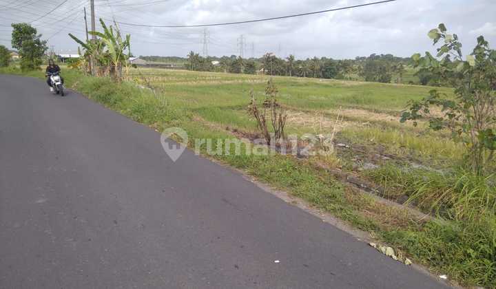Tanah Jual Lokasi Kaba Kaba