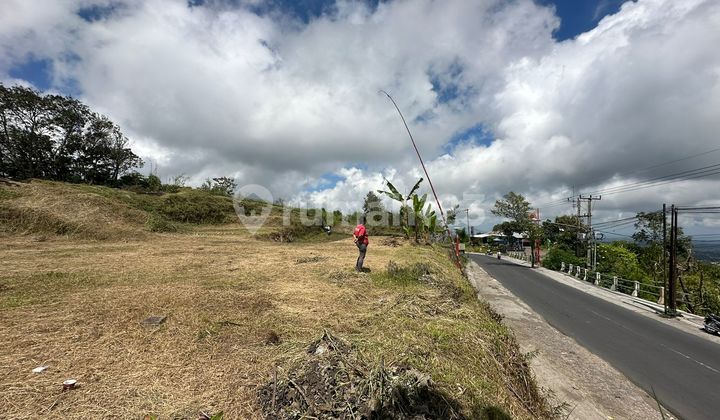 Land for Sale in Kintamani Location