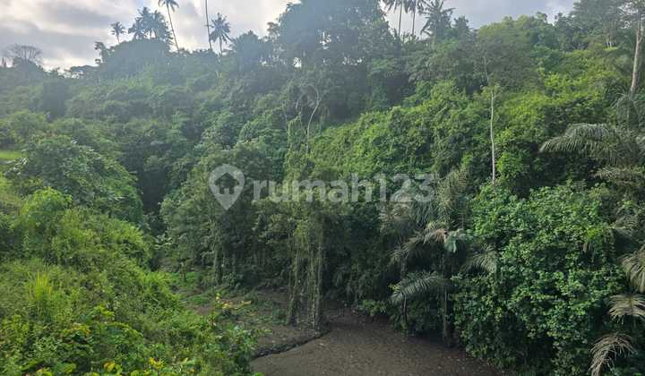 Land for Sale Location Bedulu