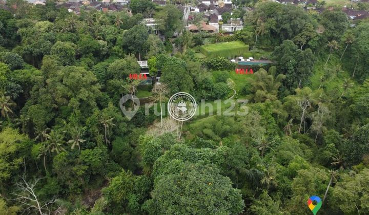 Tanah Jual Lokasi Nyanyi Tanah Jual Lokasi Nyanyi