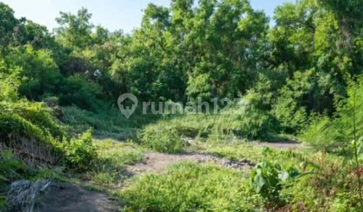 Tanah Lokasi Seminyak Tanah Lokasi Seminyak