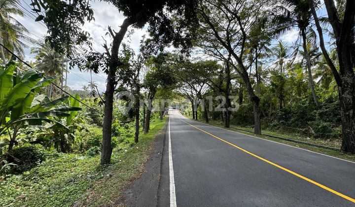 Land for Sale Location Bonian