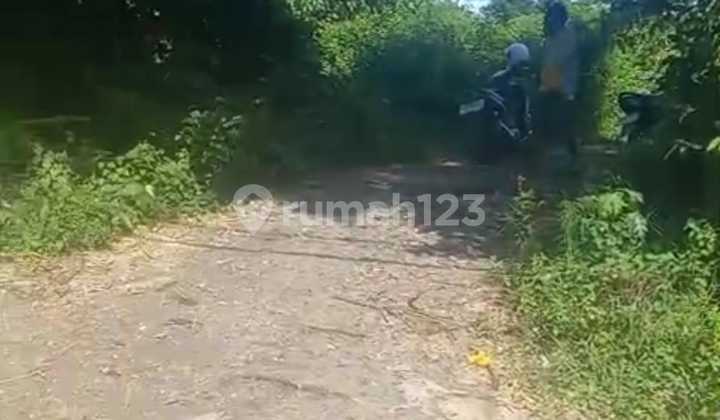 Tanah Jual Lokasi Keramas Tanah Jual Lokasi Keramas