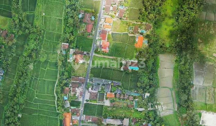 Tanah Jual Lokasi Ubud Tanah Jual Lokasi Ubud