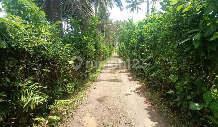 Tanah Jual Lokasi Lalanglinggah Tanah Jual Lokasi Lalanglinggah