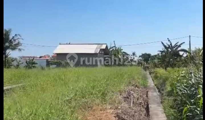 Tanah Jual Lokasi Seseh