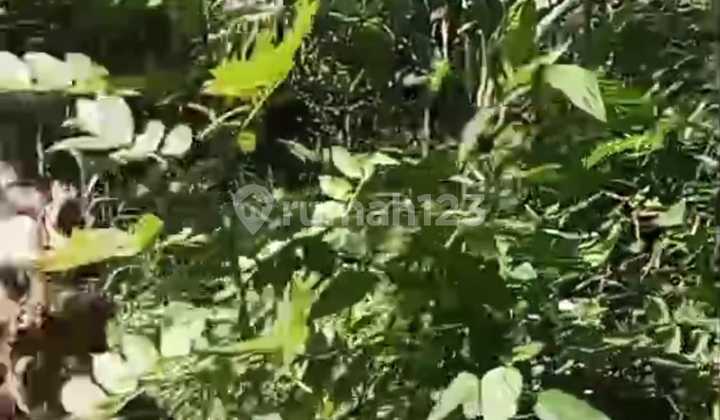 Tanah Jual Lokasi Bresela