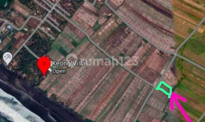Tanah Jual Lokasi Kerambitan Tanah Jual Lokasi Kerambitan