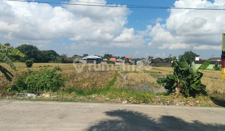 Tanah Jual Lokasi Mengwi Tanah Jual Lokasi Mengwi
