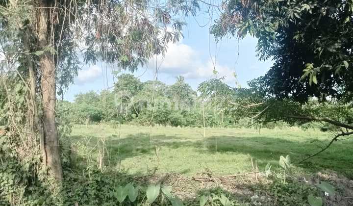 Tanah Jual Lokasi Pantai Nyanyi