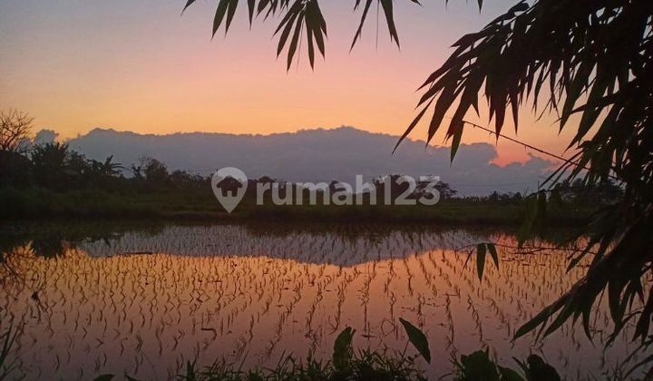 Tanah Jual Lokasi Klungkung