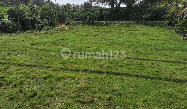 Land for Sale in Balian Location Land for Sale in Balian Location