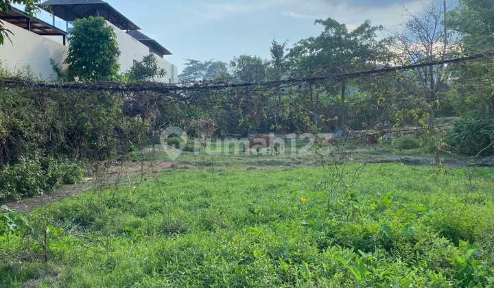 Tanah Jual Lokasi Rangkan Tanah Jual Lokasi Rangkan