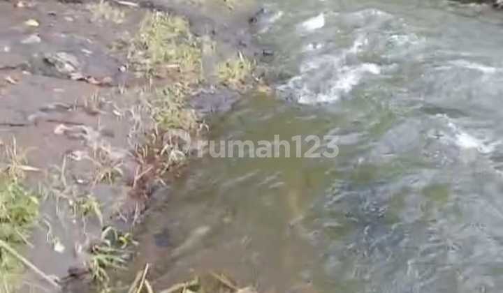 Land for Sale Location Payangan