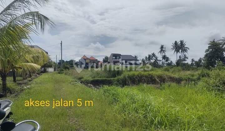 Land for Sale Location Batuan