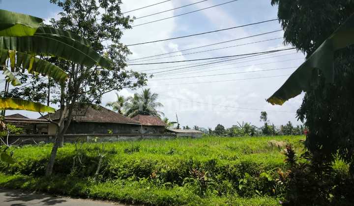 Tanah Jual Lokasi Pejeng