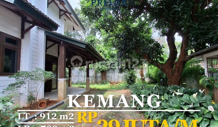 Well-Maintained Old Sturdy House in Kemang, South Jakarta 1