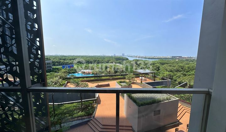 For Rent Apartment Gold Coast 1 Bedroom Fully Furnished