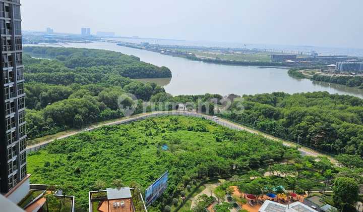 Disewa Apartment Gold Coast Siap Huni Studio Furnished Cantik