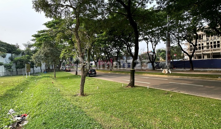 Cheap for Rent, Prime Position Commercial Plot BSD East Facing