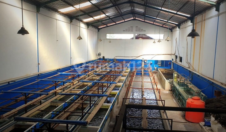 Warehouse for Sale in Kapuk Kamal Flood-Free 645m 40ft Container Access