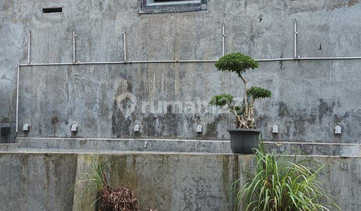 Land and Building of Active Nest Bird Wallet Land and Building of Active Nest Bird Wallet