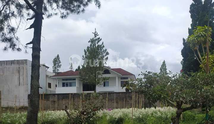 Tanah Graha Puspa Lembang Bandung Cocok Untuk Villa Dan Istirahat