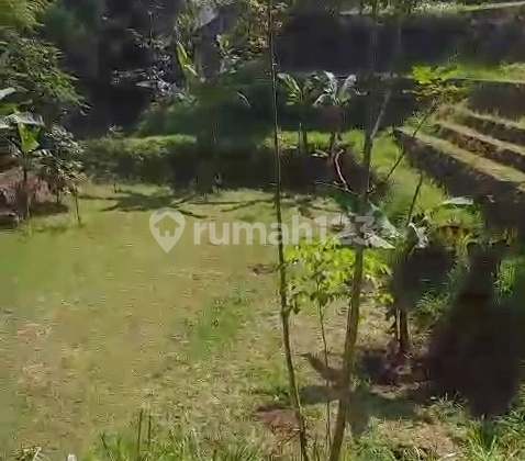 Tanah Luas Lingkungan Asri Di Ciwaruga Bandung Shm Bisa Nego Cocok Untuk Investasi Atau Buka Usaha Tanah Luas Lingkungan Asri Di Ciwaruga Bandung Shm Bisa Nego Cocok Untuk Investasi Atau Buka Usaha