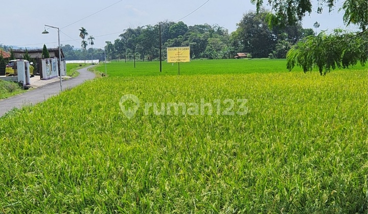 Land Per Square Meter Sagalaherang Subang Regency