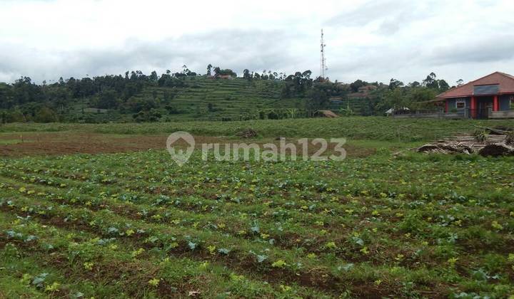 Tanah Luas Cocok untuk Investasi di Cisarua Bandung Barat SHM Tanah Luas Cocok untuk Investasi di Cisarua Bandung Barat SHM