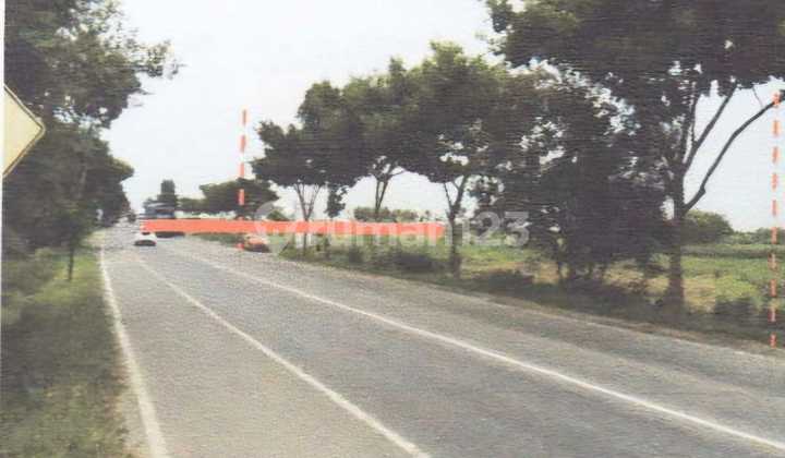 DISEWAKAN TANAH di pinggir jalan besar jalur pantura jl Kragan-Rembang, Desa Temaji, TUBAN, Jawa Timur DISEWAKAN TANAH di pinggir jalan besar jalur pantura jl Kragan-Rembang, Desa Temaji, TUBAN, Jawa Timur