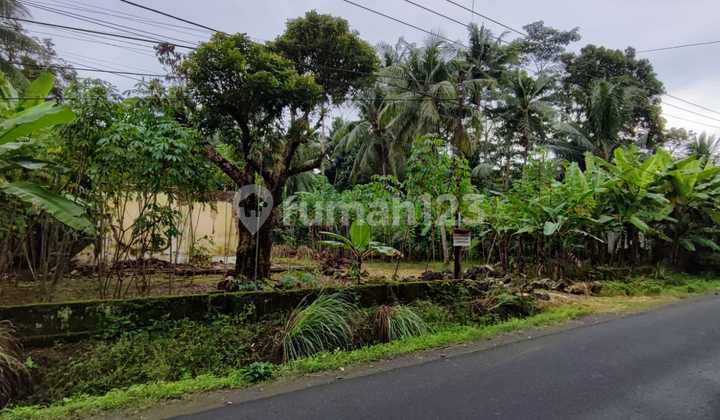 Land 2100 m2 with Certificate of Ownership (SHM) in Sidamulih, Ciamis, West Java. Land 2100 m2 with Certificate of Ownership (SHM) in Sidamulih, Ciamis, West Java.