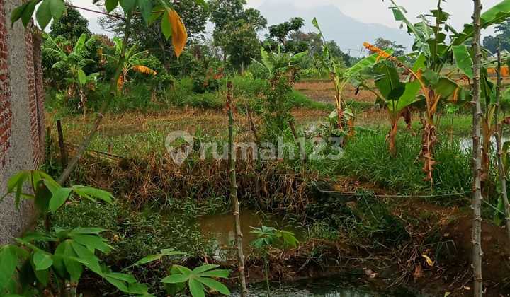 Jual Tanah Daerah Sapan