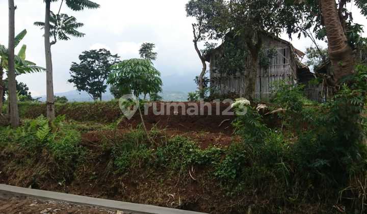 Tanah di Lokasi Strategis di Pangalengan Tanah di Lokasi Strategis di Pangalengan