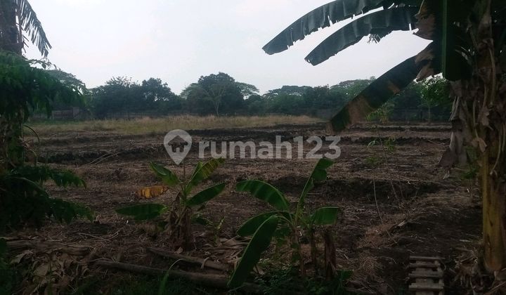 For Rent: Industrial Land in Kepatihan Industrial Area, Menganti, Gresik