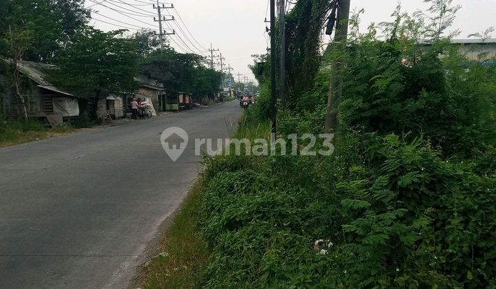 For Rent: Industrial Land, Nol Raya Street, Pelem Watu, Menganti, Gresik For Rent: Industrial Land, Nol Raya Street, Pelem Watu, Menganti, Gresik
