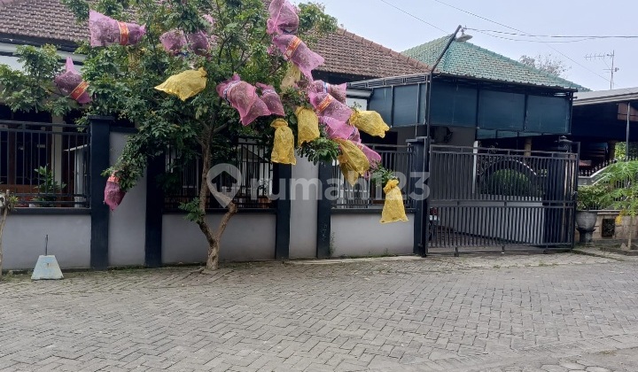 Rumah di Jual Via Lelang di Desa Kejapanan Gempol Pasuruan 2
