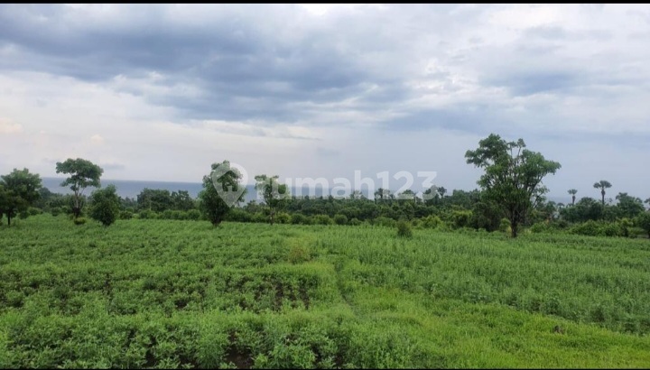 Tanah Di Jual Di Karang Asem Tulamben Balibali Tanah Di Jual Di Karang Asem Tulamben Balibali