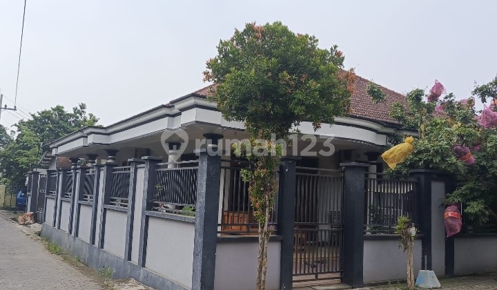 Rumah di Jual Via Lelang di Desa Kejapanan Gempol Pasuruan Rumah di Jual Via Lelang di Desa Kejapanan Gempol Pasuruan