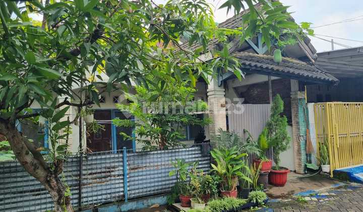 House Auction Sale (Bumi Citra Fajar - Bulusidokare) Sidoarjo - Kpknl Auction 2