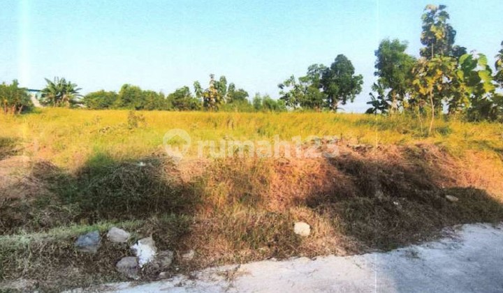Dijual Tanah Via Lelang di Kedamean Gresik - Luas 1793 M2 : Harga Obrall!!