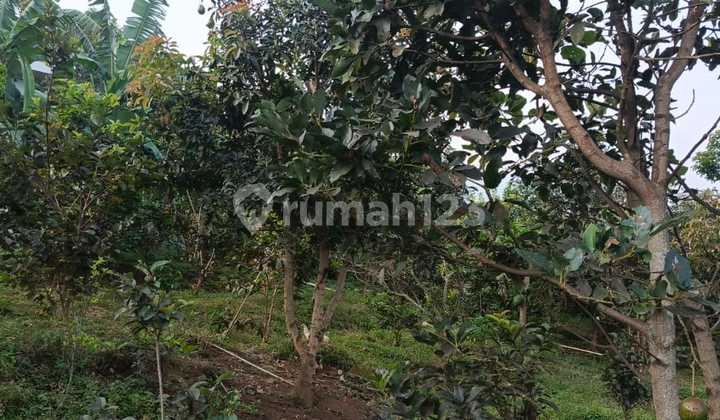 Dijual Tanah SHM View Gunung - Kota Batu Bulukerto, Kec. Bumiaji - Kota Batu