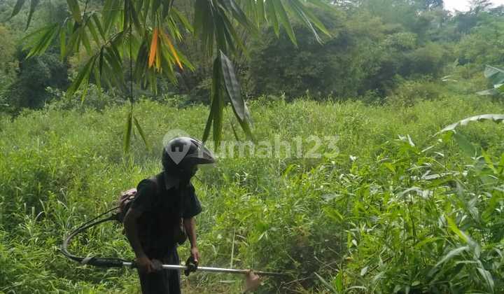 Dijual Tanah di Wagir, Malang